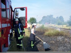 20150704 Großer Flächenbrand L566 Basheide 01